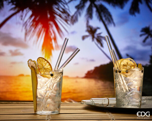 Pack de 6 pailles EDG Enzo De Gasperi + brosse à dents H23 D1 Naturel Transparent