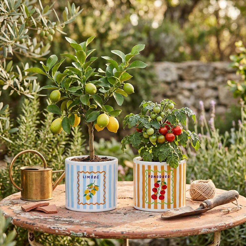 Ad Trend Vaso Decorativo in Ceramica Assortito Ø11xH10 cm 1 Pz – Complemento d'Arredo per Fiori e Piante, Decorazione per la Casa