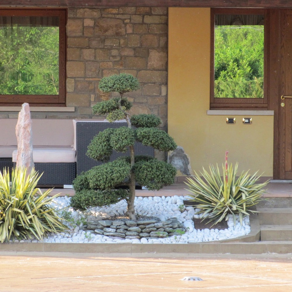 The Spinning Wheel Pebbles White Carrara 25 / 40 Mm 20 Kg