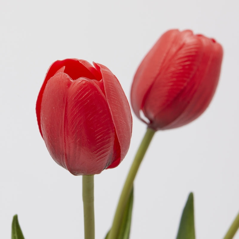 Bouquet EDG Enzo De Gasperi 5 Tulipes avec Feuilles H 40 Cm Rouge