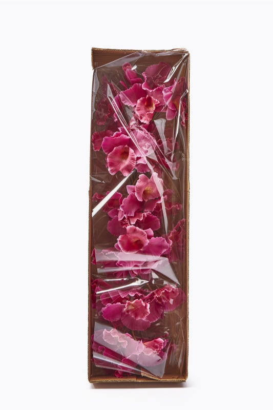 edg enzo de gasperi edg enzo de gasperi orchidea cattleya duke ramo x4 e 2 boccioli artificiale h 43 cm fuchsia ean 8056372147210