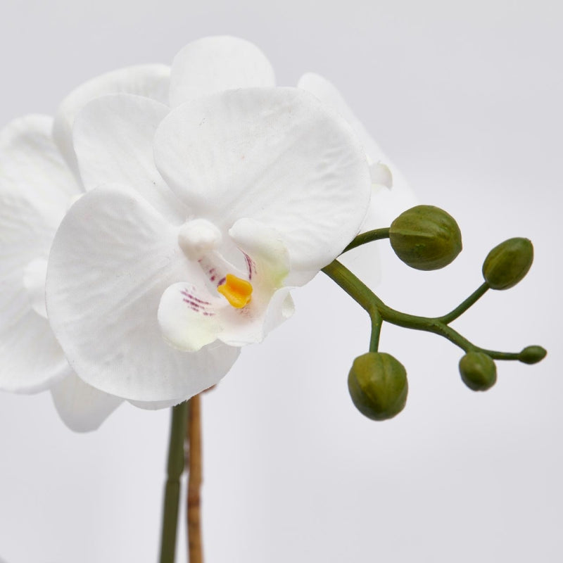 edg enzo de gasperi edg enzo de gasperi orchidea phalaenopsis pianta con vaso e 2 rami artificiale h 55 cm white ean 8056372396700