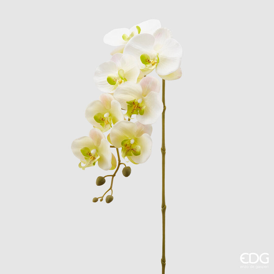 edg enzo de gasperi edg enzo de gasperi orchidea phalaenopsis olis ramo 3d x7 artificiale h 85 cm white yellow ean 8056372972744