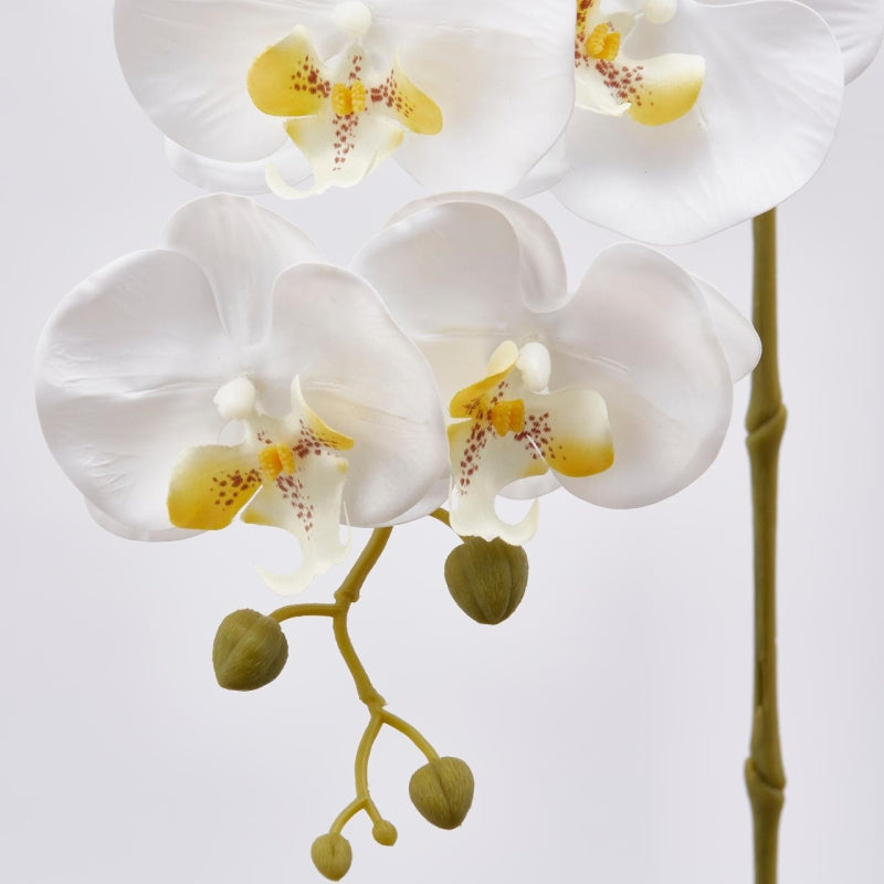 edg enzo de gasperi edg enzo de gasperi orchidea phalaenopsis olis ramo 3d x5 artificiale h 70 cm white ean 8056372972768