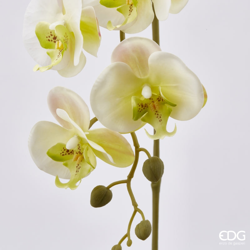 edg enzo de gasperi edg enzo de gasperi orchidea phalaenopsis olis ramo 3d x5 artificiale h 70 cm white yellow ean 8056372972805