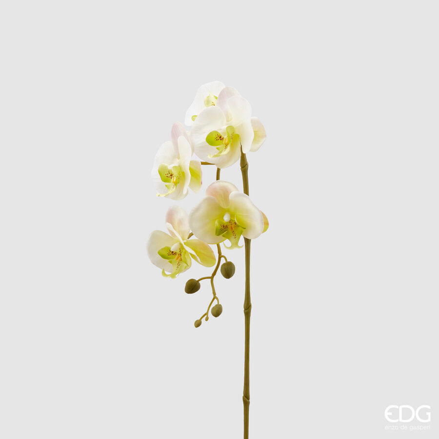 edg enzo de gasperi edg enzo de gasperi orchidea phalaenopsis olis ramo 3d x5 artificiale h 70 cm white yellow ean 8056372972805