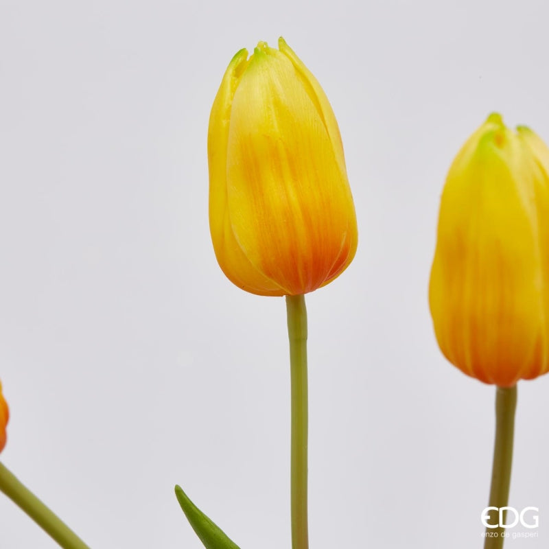 EDG Enzo De Gasperi Bouquet de 5 Tulipes Olis Ass. H 40 cm Jaune 1 pièce