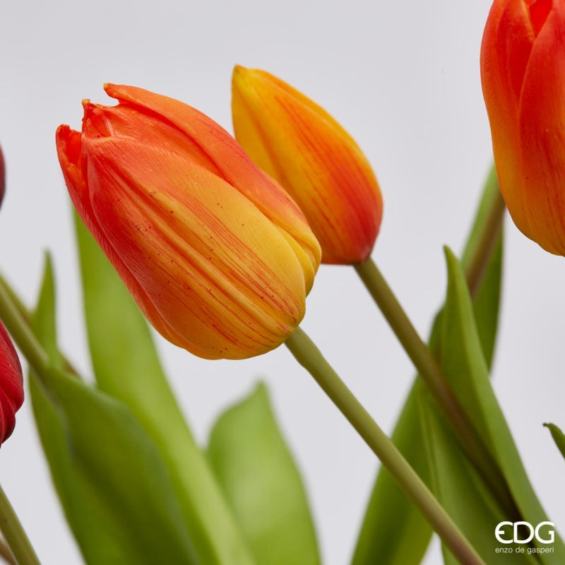 EDG Enzo De Gasperi Bouquet de 5 Tulipes Olis Ass. H 40 cm Orange 1 pièce