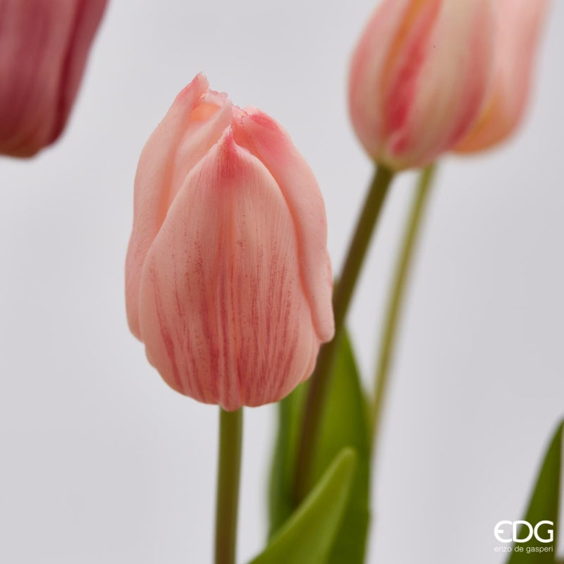 EDG Enzo De Gasperi Bouquet de 5 Tulipes Olis Ass. H 40 cm Mauve 1 pièce
