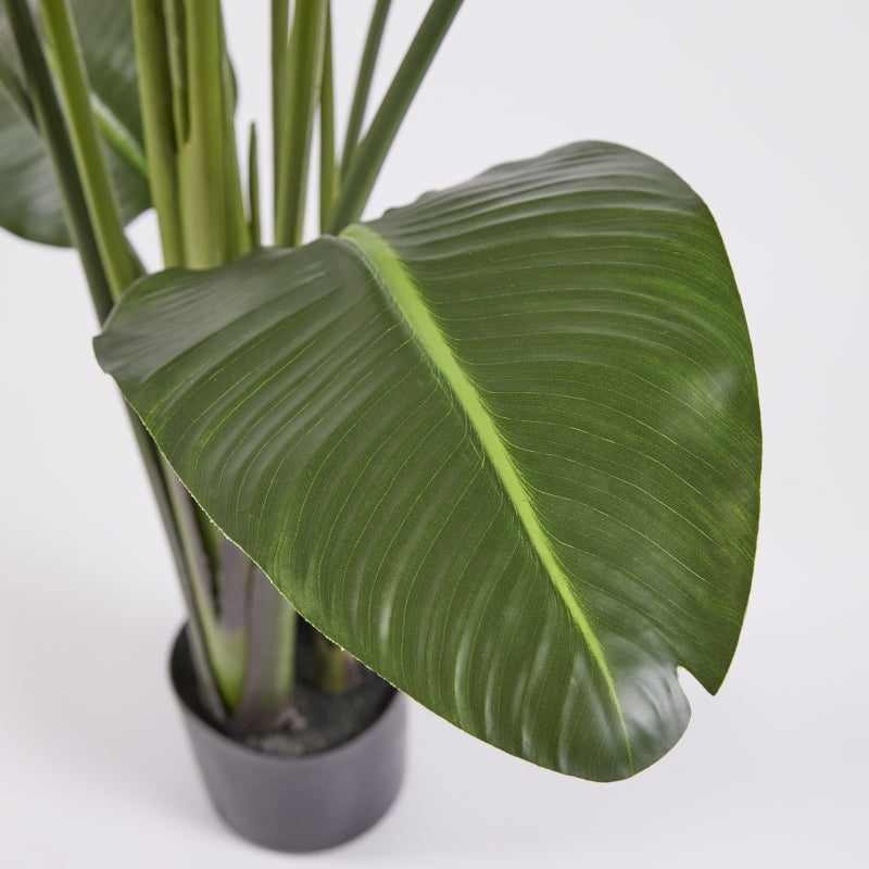 EDG Enzo De Gasperi Strelizia with Artificial Vase H 185 Cm Green Color