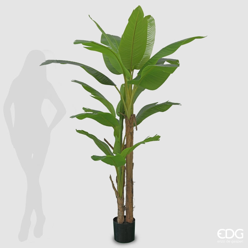 Bananier EDG Enzo De Gasperi avec vase artificiel H 200 cm Couleur verte