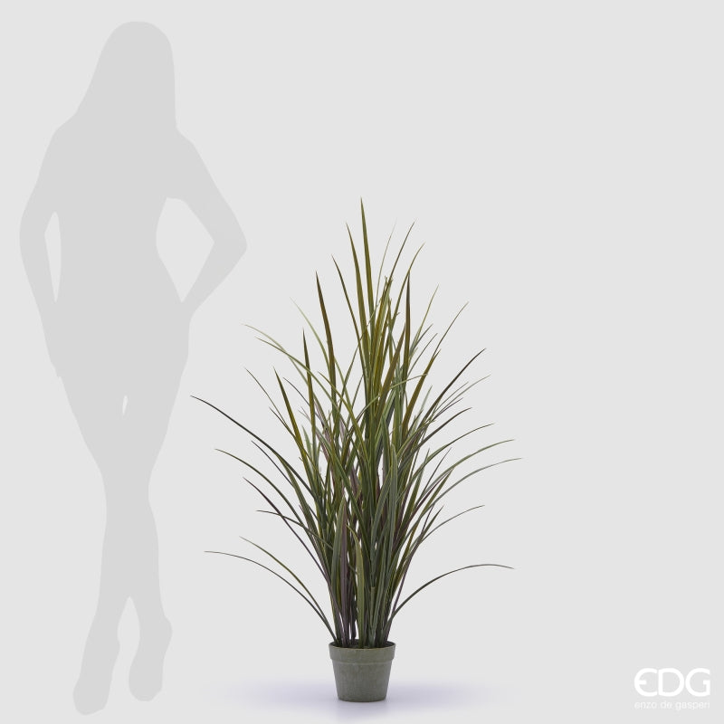 EDG Enzo De Gasperi Festuca avec Vase H 122 Cm Couleur Vert