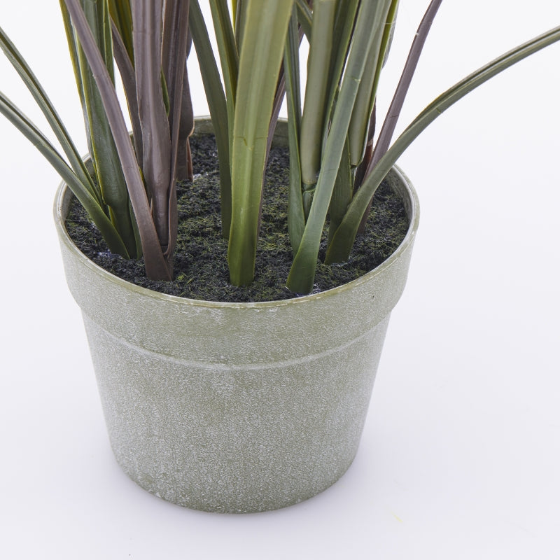 EDG Enzo De Gasperi Festuca avec Vase H 102 Cm Couleur Vert