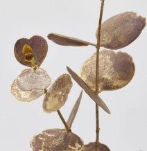 Branche d'eucalyptus EDG Enzo De Gasperi H 89 cm Plastique Grenat