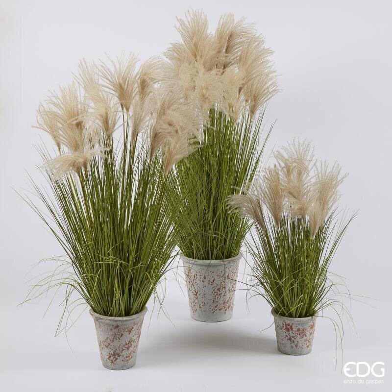 EDG Enzo De Gasperi Festuca Artificielle H80 cm avec Vase H10xØ13 cm – Plante Ornementale Décorée pour Intérieurs
