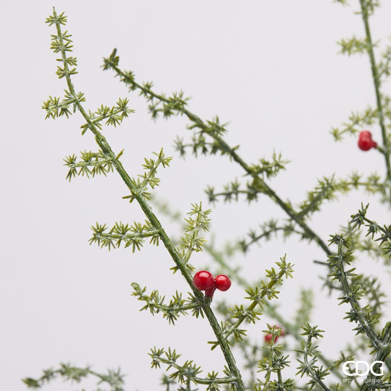 EDG Enzo De Gasperi Asperge Sauvage avec Baies H70 cm – Décoration de Noël