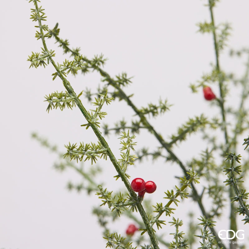 EDG Enzo De Gasperi Asperge Sauvage avec Baies H70 cm – Décoration de Noël