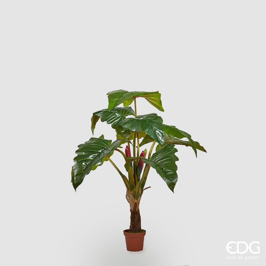edg enzo de gasperi edg enzo de gasperi alocasia chic con vaso artificiale h 160 cm green ean 8056372078866