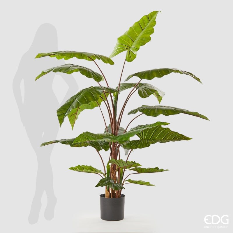 edg enzo de gasperi edg enzo de gasperi alocasia chic con vaso artificiale h 170 cm green ean 8059824908964