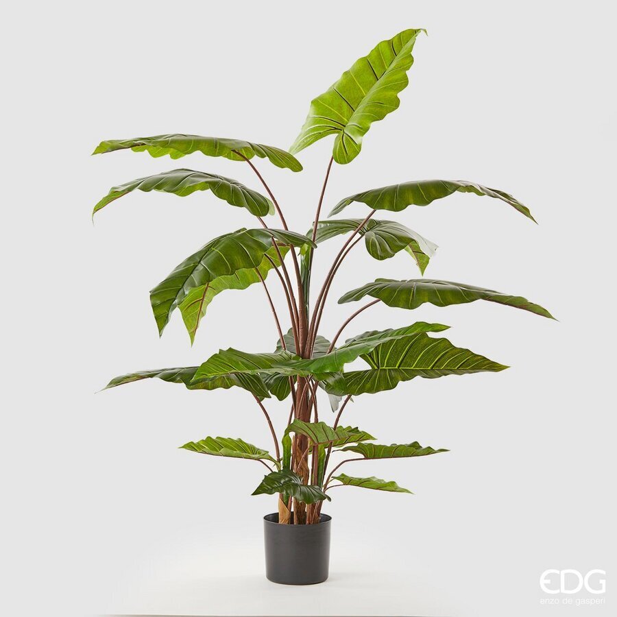 edg enzo de gasperi edg enzo de gasperi alocasia chic con vaso artificiale h 170 cm green ean 8059824908964