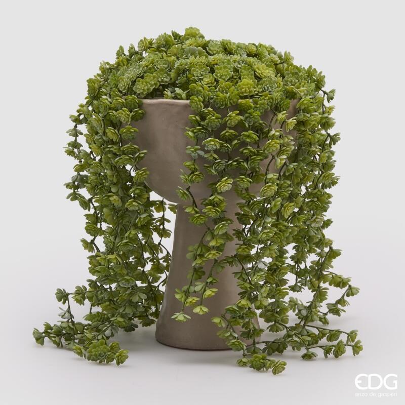 EDG Enzo De Gasperi Echeveria Olis Buisson Retombant H 44 Cm Plante Artificielle Vert Clair