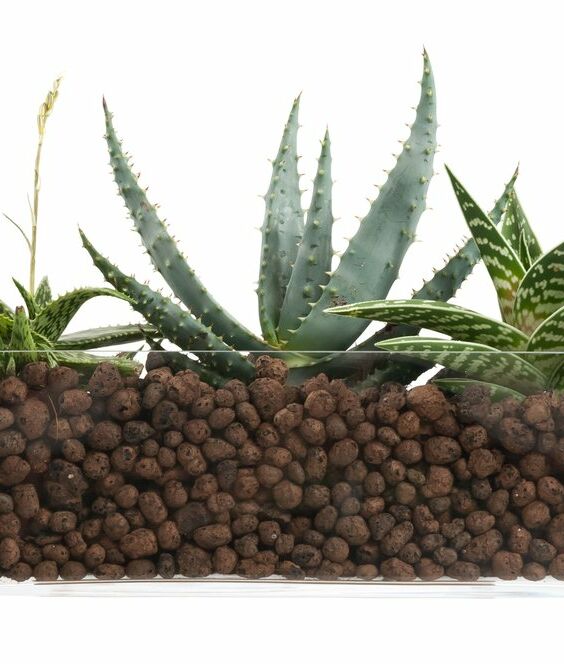 larcolaio larcolaio terriccio argilla espansa 10 lt