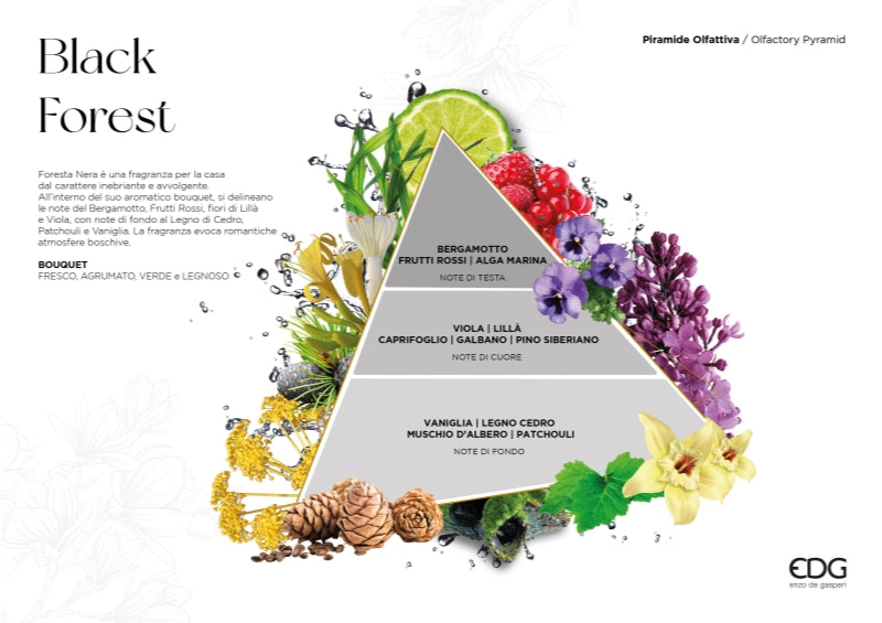 edg enzo de gasperi edg enzo de gasperi profumatore bottiglia agadir 1 000 ml h 24 cm d 13 cm foresta nera ean 8059824465450