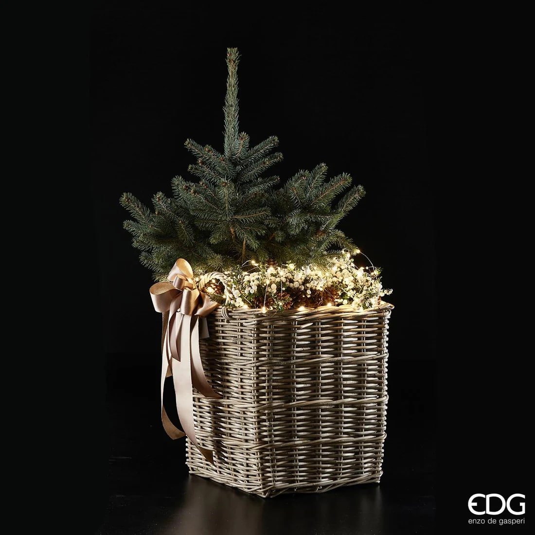 EDG Enzo De Gasperi Christmas Lights MicroLed X 20 140 + 50 Cm Ivory