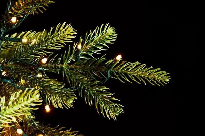 Sapin de Noël de luxe EDG Enzo De Gasperi en pin, hauteur 270 cm, diamètre 163 cm, avec 6 000 LED vertes