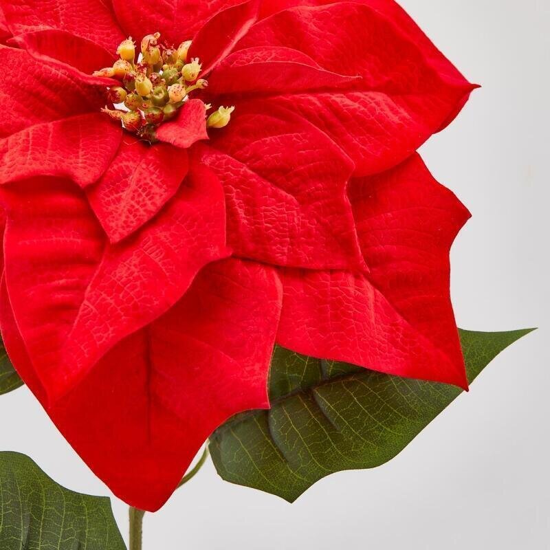 EDG Enzo De Gasperi Ramo Stella di Natale Bell Red H71 cm – Decorazione Natalizia