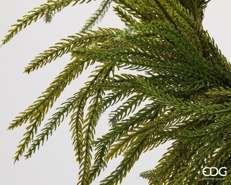 Couronne de Noël EDG Enzo De Gasperi en Cryptomeria Vert Ø35 cm – Guirlande Décorative pour Portes, Murs et Décoration de Noël