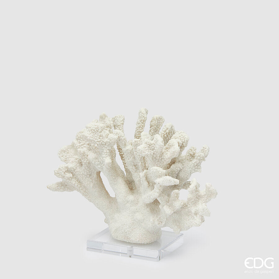 edg enzo de gasperi edg enzo de gasperi scultura corallo h 22 cm l 28 cm l 10 cm ivory ean 8059824482938