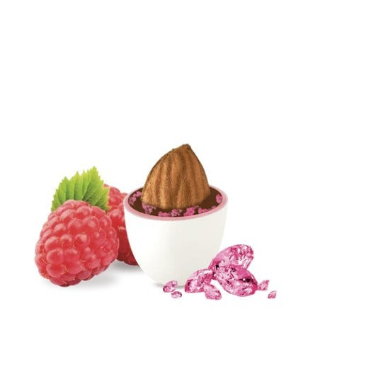 Maxtris Dragées Cristaux de Framboise Amandes Grillées 1 kg