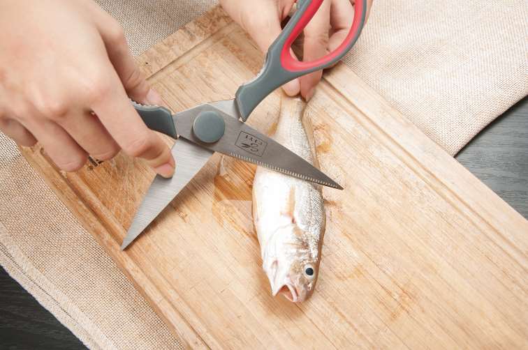 Ciseaux Salvinelli Home L 21 cm Acier
