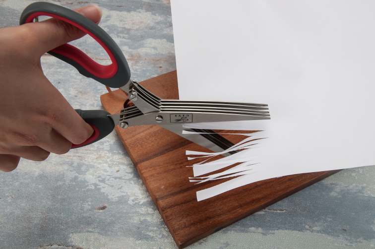 Salvinelli Shredding Scissors 22cm Steel