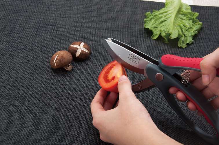 Ciseaux Salvinelli 23 cm Acier