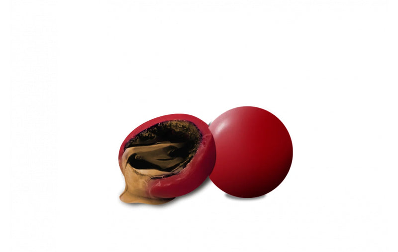 Maxtris Dragées Liquorelli Rhum 500 Gr Coin Cubain