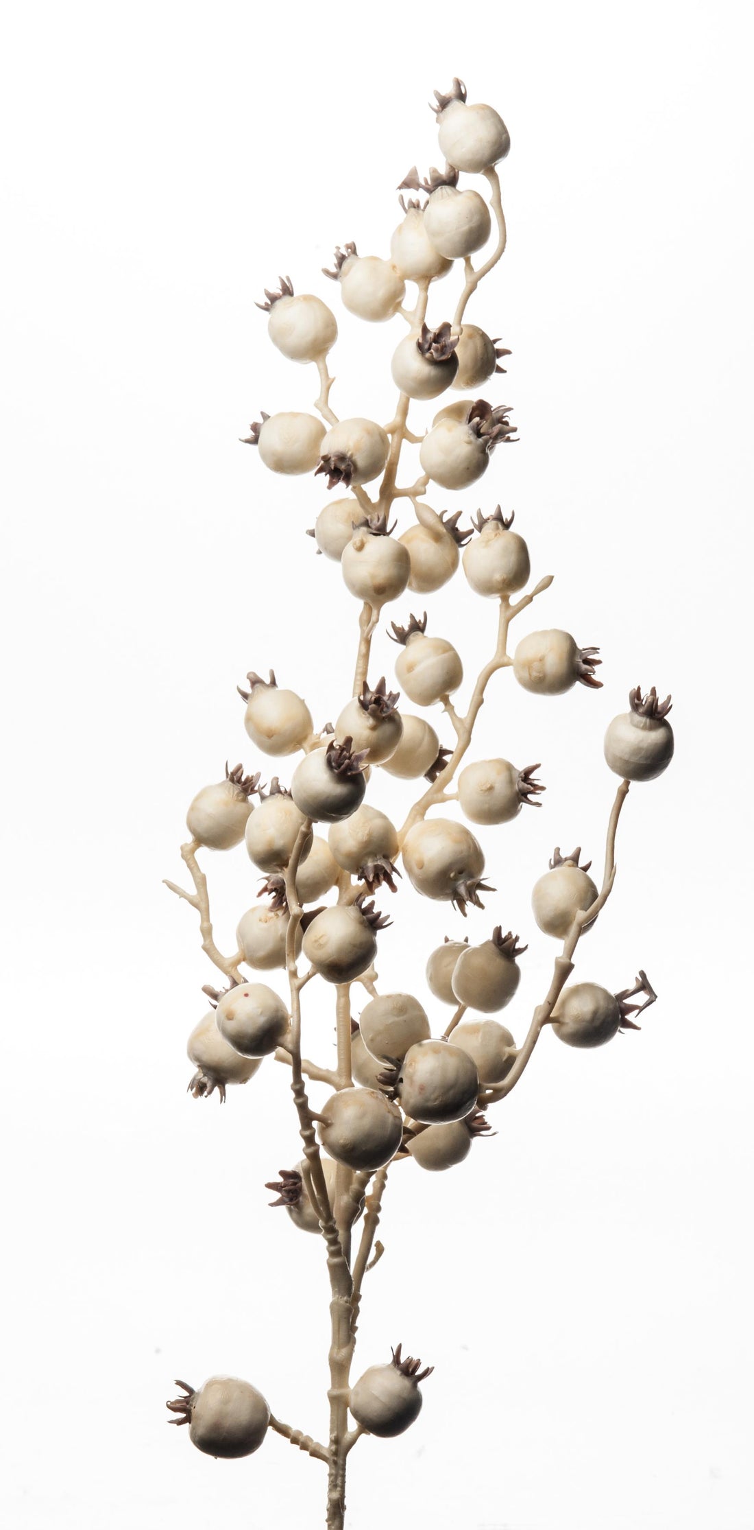 Branche de Noël Baies ARPIMEX 80 cm Crème