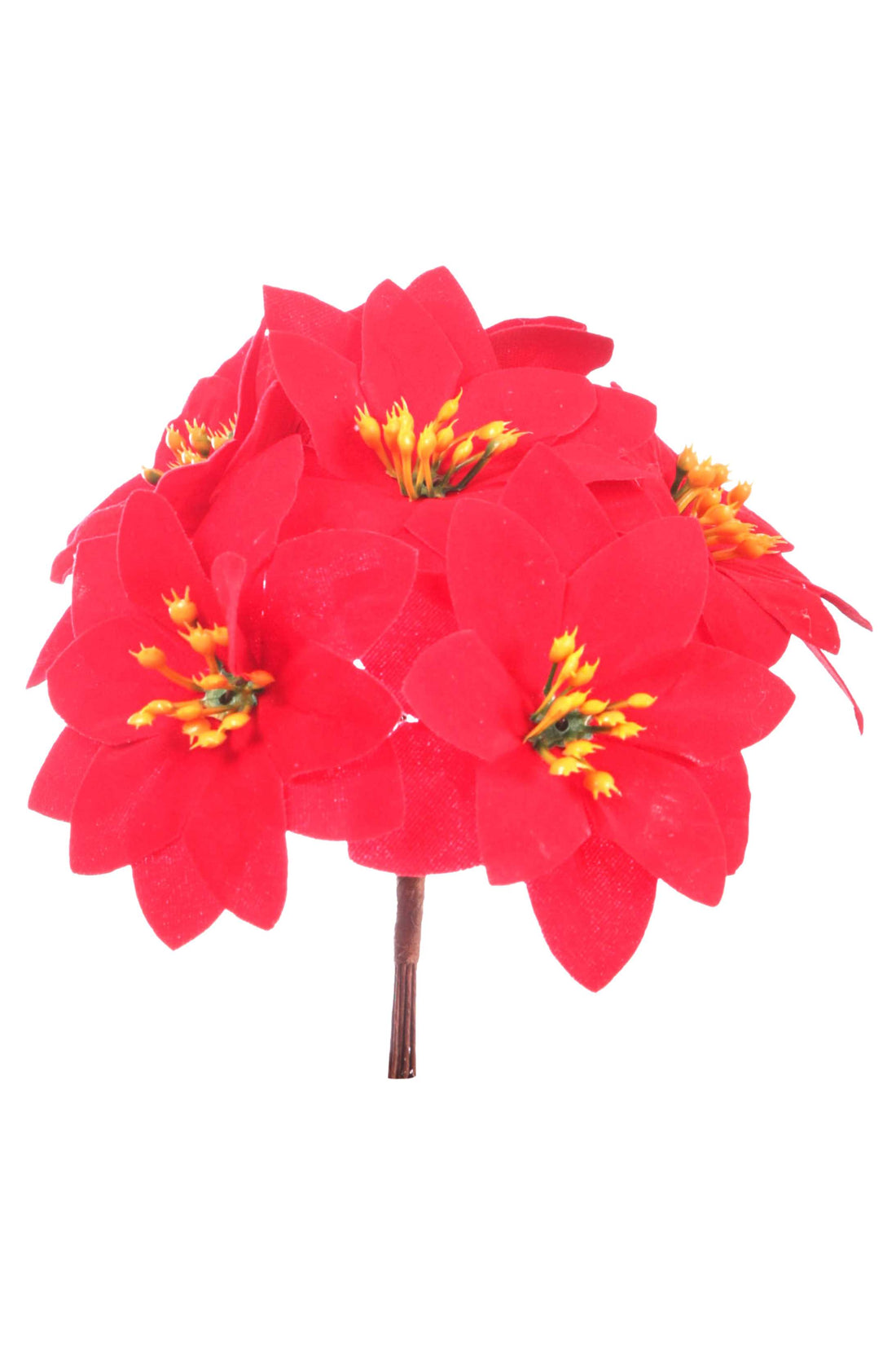 ARPIMEX Bouquet de 7 mini-étoiles de Noël, hauteur 13 cm, rouge.