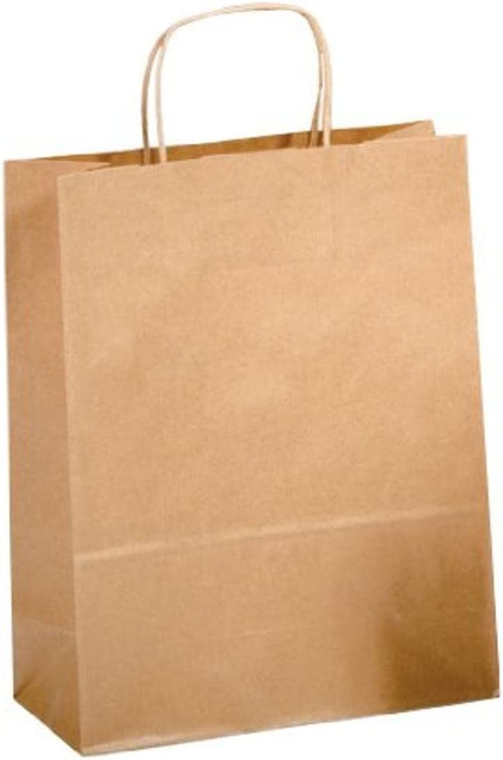 Saul Sadoch Conf. 25 enveloppes en papier kraft avec poignée torsadée 16 x 8 x 21 cm