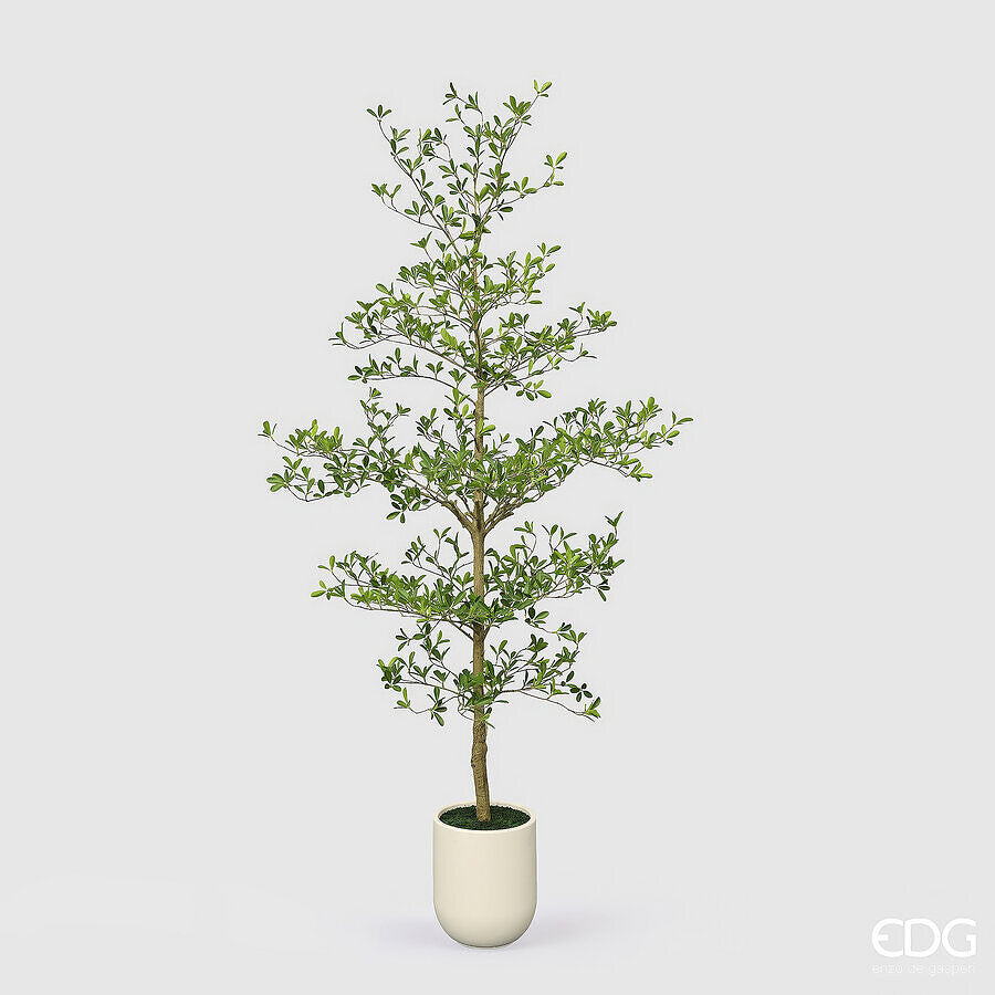 edg enzo de gasperi edg enzo de gasperi pianta artificiale bucida buceras vogue con vaso h240 cm pianta decorativa realistica design moderno ean 8059824655127