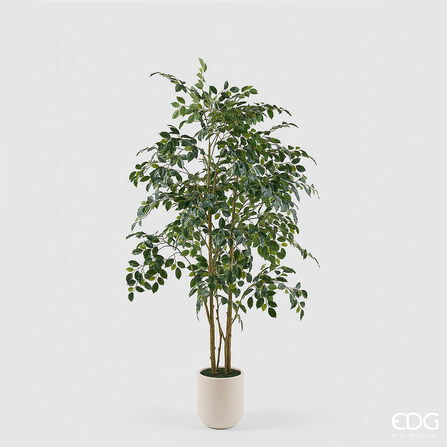 edg enzo de gasperi edg enzo de gasperi pianta artificiale ficus beniamino vogue con vaso h180 cm pianta decorativa realistica design moderno ean 8059824655073