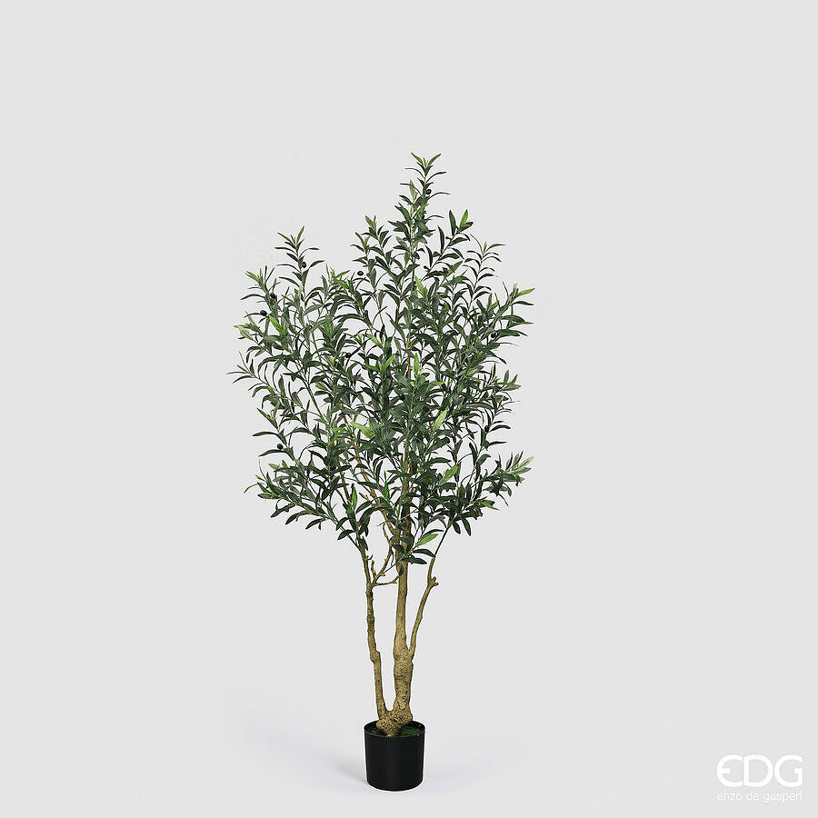 edg enzo de gasperi edg enzo de gasperi pianta artificiale olivo vogue con vaso h180 cm pianta decorativa realistica design moderno ean 8059824655158