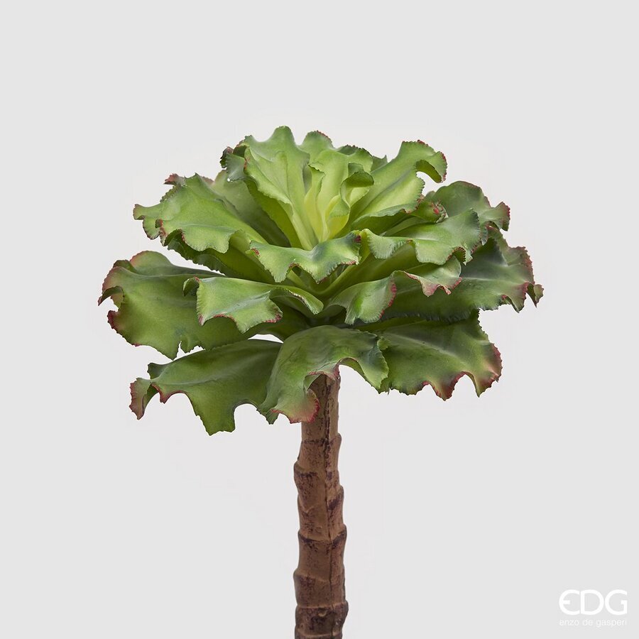 edg enzo de gasperi edg enzo de gasperi succulente west ramo h 36 cm light green pianta artificiale decorativa realistica design moderno ean 8056372987458