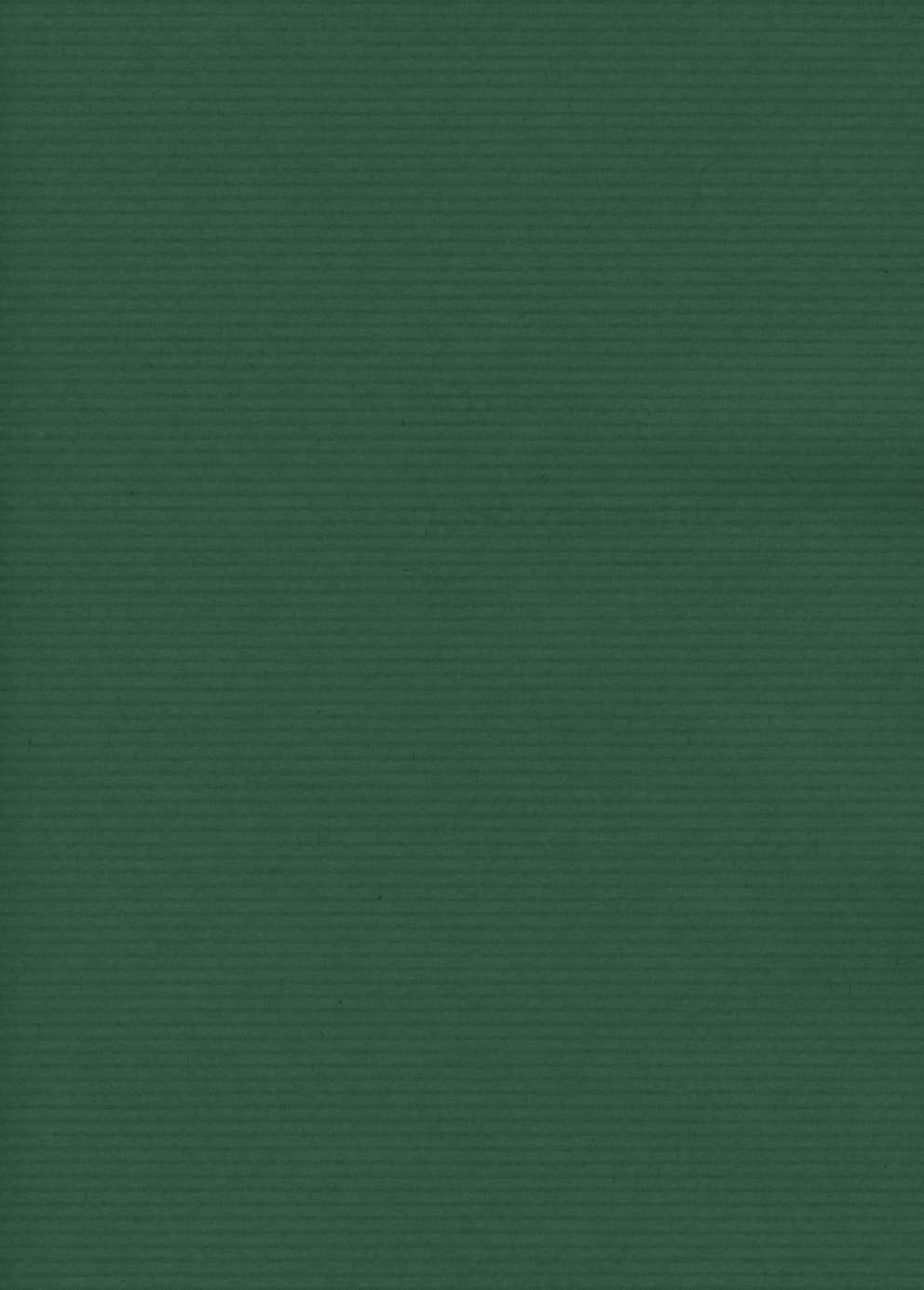 immagine-1-saul-sadoch-carta-regalo-ecocolor-h-070-mt-l-25-mt-verde-ean-8006715079838