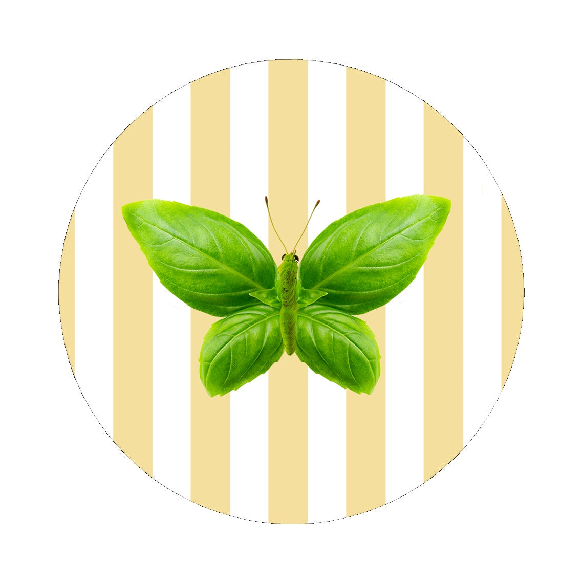 wd lifestyle wd lifestyle sottopentola in ceramica d 18 cm decoro farfalla ean 8055035683591