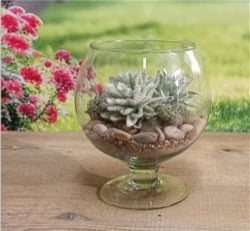 due esse distribuzioni due esse distribuzioni vaso napoleone h 15 cm d 12 cm vetro natural scatola regalo ean 8034048566343