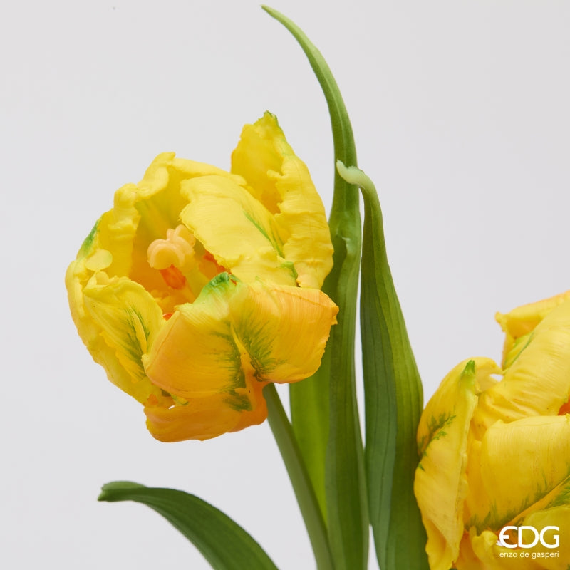 edg enzo de gasperi edg enzo de gasperi bouquete tulipano parrot x3 h 40 cm con bocciolo giallo ean 8059824612663