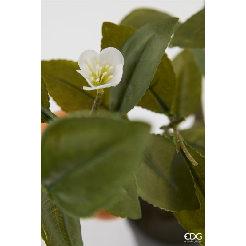 edg enzo de gasperi edg enzo de gasperi mandarini con vaso e foglie x6 pianta artificiale h 60 cm arancione ean 8059824634801