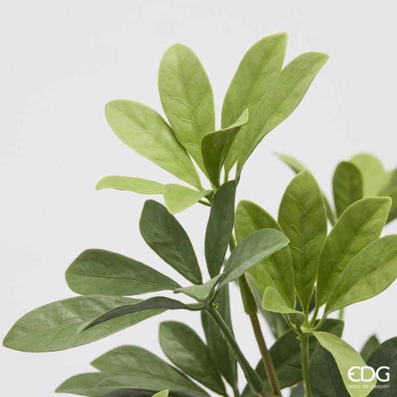 edg enzo de gasperi edg enzo de gasperi pianta artificiale schefflera cespuglio h 49 cm green mix pianta decorativa realistica design moderno ean 8059824664518